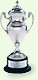 Award cup